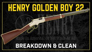 Gun Cleaning 101 How to Clean the Henry Golden Boy 22 LR [upl. by Lederer]