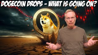 Dogecoin Drops  What Is Going On [upl. by Gnni]