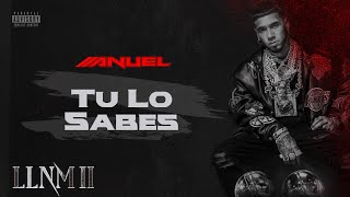 Anuel AA  Tu Lo Sabes Visualizer Oficial  LLNM2 [upl. by Aztilem612]