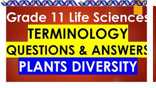 Explore Plant Diversity Fun and Educational Terminology Quiz [upl. by Anetsirk]