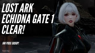 Lost Ark Echidna Gate 1 First Clear  1625 Paladin POV [upl. by Aleka]