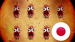 The Amazing World of Gumball  Bacteria song Japanese NTSC [upl. by Cope]