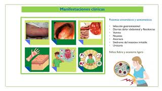 Blastocystis hominis [upl. by Notyep]