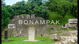 Explorando la fascinante zona arqueológica de Bonampak un viaje a través de la historia Maya 4K [upl. by Genet]