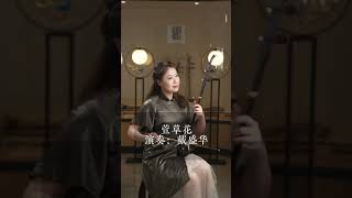 二胡演奏《萱草花》 Erhu CoverDaylily from Movie “Hi Mom” [upl. by Eirek766]