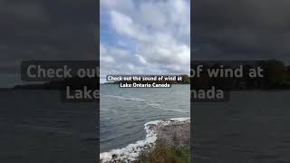 The Haunting Sound of Wind at Lake Ontario [upl. by Chevalier]