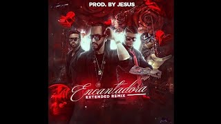 Yandel Ft Farruko x Zion amp Lennox  Encantadora Extended Remix [upl. by Hesta]