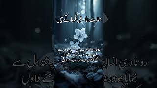 Ali Hussan Husseinlove historyallahpoetry besturduquotesofhazratali islamislamicshorts [upl. by Scheer]