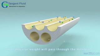 Crossflow Filtration of Ceramic Membrane [upl. by Parcel]