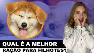 Melhores rações para filhotes de cães e gatos [upl. by Alinna]