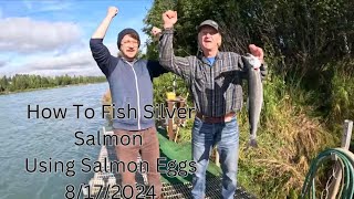 How To Fish Silvers Salmon Using Salmon Eggs Alaska Kenai River [upl. by Aduh]