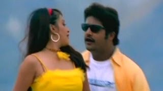 Subbu Telugu Movie  Hari Hara Video Song  NTR Jr Sonali Joshi [upl. by Dnalon9]