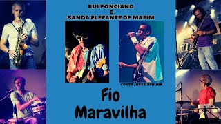 FIO MARAVILHA JORGE BEN JOR  RUI PONCIANO E BANDA ELEFANTE DE MARFIM [upl. by Yrac]