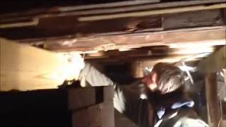 Rotten Main Beam Replacement  Floor Joist repair 1 of 4 [upl. by Nuhsed]