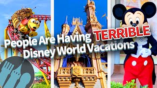 People Are Having TERRIBLE Disney World Vacations [upl. by Myrt]