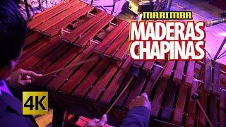 Marimba Maderas Chapinas  Concierto Orgullo Chapin  Calidad 4K [upl. by Gustavus]