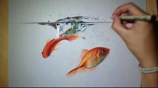 Fun drawing Goldfish in Water [upl. by Anecuza]