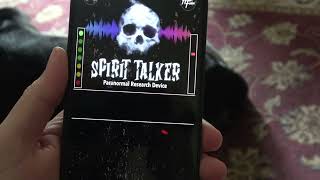 The Spirit Talker App Test [upl. by Leeban]