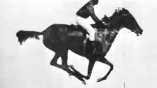 The horse in motion Eadweard Muybridge 1878 First Film Ever [upl. by Letsirhc471]