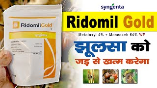 Syngenta Ridomil Gold Fungicide  रिडोमिल गोल्ड फंगीसाइड  Metalaxyl4 Mancozeb64 fungicide [upl. by Sisely]