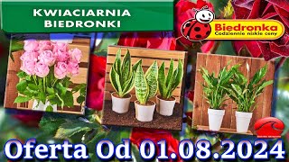 𝐁𝐈𝐄𝐃𝐑𝐎𝐍𝐊𝐀🐞Kwiaciarnia Biedronki Nowa Oferta Od 01082024 Kwiatowe Inspiracje Biedronki Tanie Kwiaty [upl. by Elvah92]