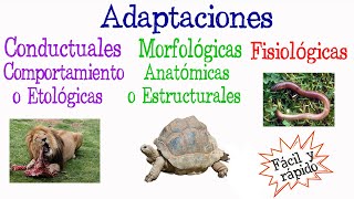 Evolución en Acción Adaptaciones Sorprendentes en el Reino Animal [upl. by Breech]