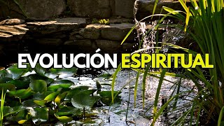 🌎Brian Weiss y la Reencarnación 📖Evolución Espiritual [upl. by Adnorat]