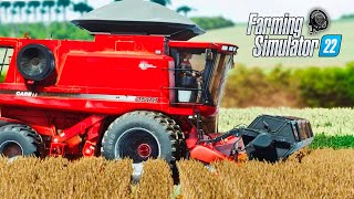 O INICIO DA COLHEITA DE SOJA NA FAZENDA JATOBÁ  FARMING SIMULATOR 22  EP 5 OS GURI 3ª TEMPORADA [upl. by Donica]