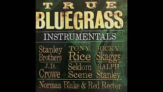 True Bluegrass Instrumentals [upl. by Rollo]