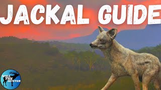 Vurhonga Savanna Side Striped Jackal Zone Guide TheHunter Call Of The Wild 2023 [upl. by Idorb460]