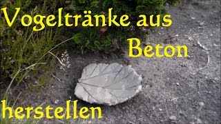 DIY Vogeltränke selber basteln aus Beton  Vogeltränke Pflanzblatt aus Beton [upl. by Alamaj]