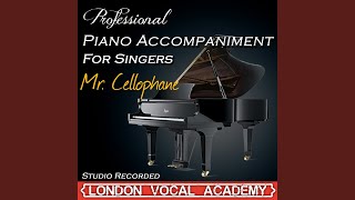 Mr Cellophane Chicago Piano Accompaniment Professional Karaoke Backing Track [upl. by Oicnedurp]