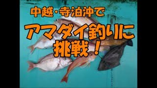 新潟寺泊沖アマダイ五目釣り ゆたか丸 Tilefish fishing [upl. by Ki648]