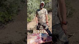 Berger Performance on BIG BULL ELK Shorts elk elkHunting [upl. by Arquit]