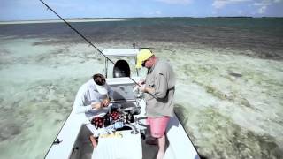 Short Key West Tarpon Fishing Video [upl. by Hyps]