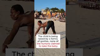 A GORILLA GAVE BIRTH TO A MAN facts shorts trending [upl. by Letnwahs]