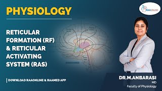 Physiology  Reticular formation RF amp Reticular activating system RAS  Raaonline [upl. by Aissilem656]