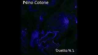 NAIADE Violin Duet  Nino Cotone [upl. by Winwaloe]