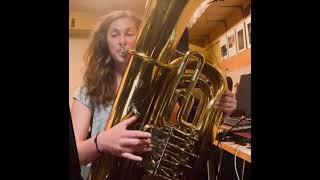 Dean Town  Vulfpeck  Tuba Cover [upl. by Kassie]