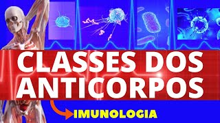 CLASSE DOS ANTICORPOS TIPOS OU ISOTIPOS DE ANTICORPOS  FUNÃ‡Ã•ES DOS ANTICORPOS  IMUNOLOGIA [upl. by Leinehtan66]