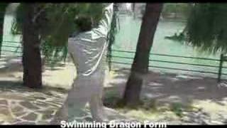 Baguazhang Kung Fu MartialArts Master Sui Yunjiang [upl. by Takashi]