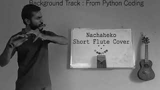 Nachaheko hoina timilai flute music [upl. by Jain]