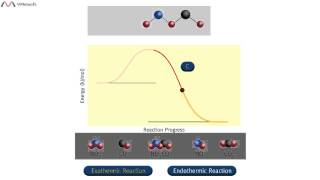 Activation Energy Animation [upl. by Hanser]