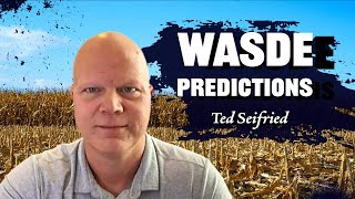 WASDE Market Breakdown Ted Seifried on RFDTV [upl. by Onahpets]