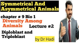 Symmetrical and Asymmetrical Animals Diploblast and Triploblastic Animals in Urdu Hindi By Dr Hadi [upl. by Ailuig279]