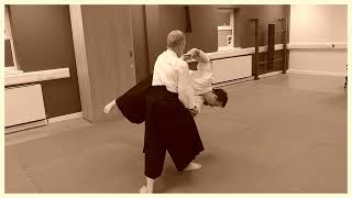 Aikido  Kokyo [upl. by Leahpar380]