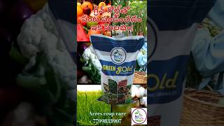 Green gold  acres crop care  organic farming  granules agriculture farming farmerslife [upl. by Trahern283]