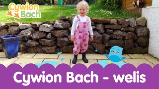 🥾 Cywion Bach  Welis  Welsh Childrens Songs and Learning  Welly boots [upl. by Ytima]