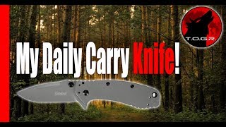 My Daily Carry  Kershaw Cryo II Pocket Knife Review  Blade Perfection [upl. by Aynek]