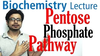 Pentose phosphate pathway [upl. by Silverstein]